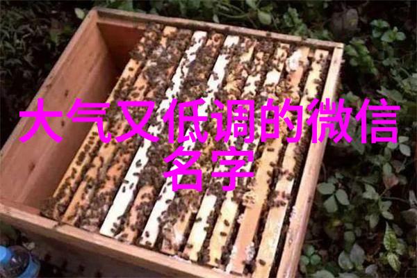 沈南峰崔倩雯全文免费阅读大结局崔倩雯沈南峰最新章节列表